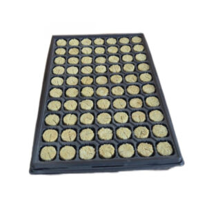 Begrow® Anzuchtplug 36 × 40 mm im Anzuchttray, 70 Stk.